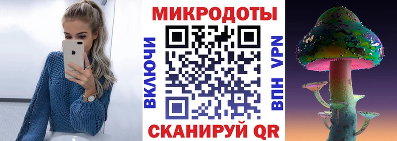 Псилоцибиновые грибы Psilocybine cubensis  Слюдянка 